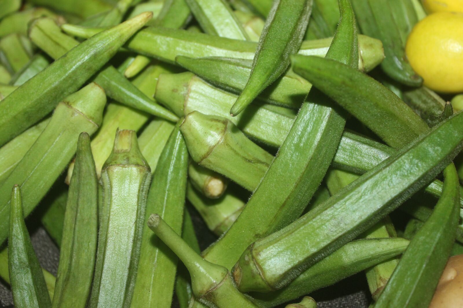 Canon EOS 1100D (EOS Rebel T3 / EOS Kiss X50) sample photo. Vegetable, okra, bhindi photography