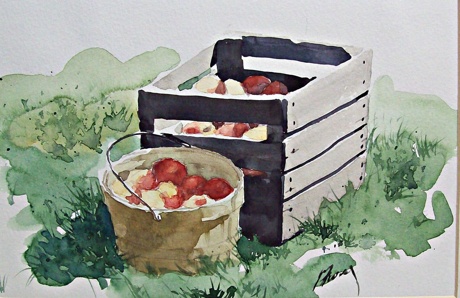 Kodak EASYSHARE C713 ZOOM DIGITAL CAMERA sample photo. Watercolor, painting, apples photography