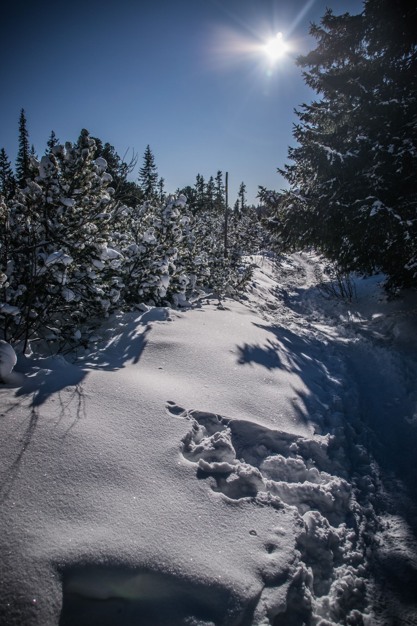 Nikon D5300 sample photo. Mountains, winter, snow photography