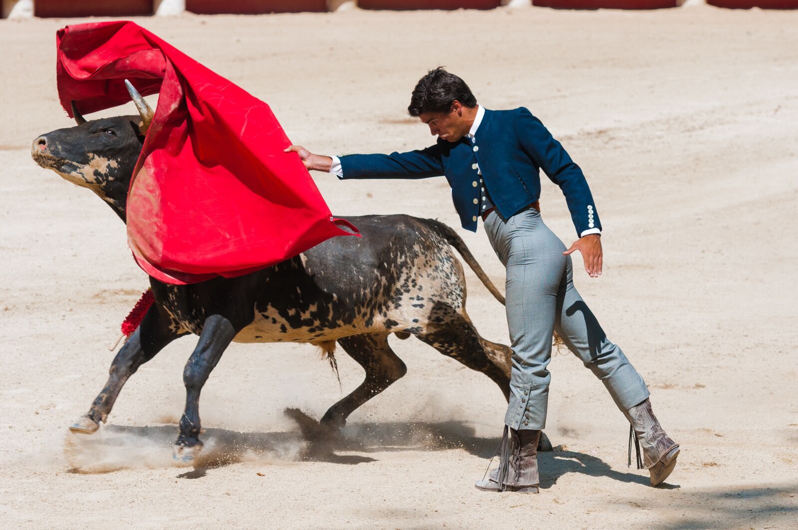 Nikon D300S sample photo. Bolsin, bullfight, bull photography