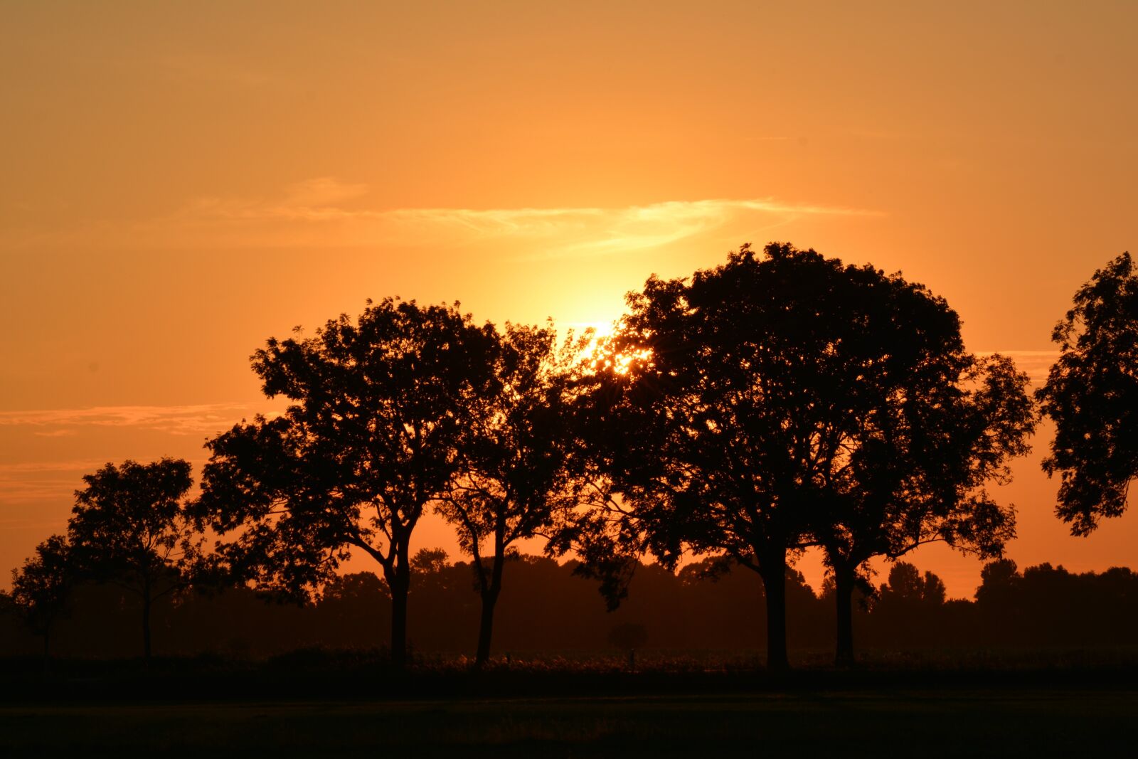 Nikon D5200 sample photo. Sunset, rheiderland include a photography