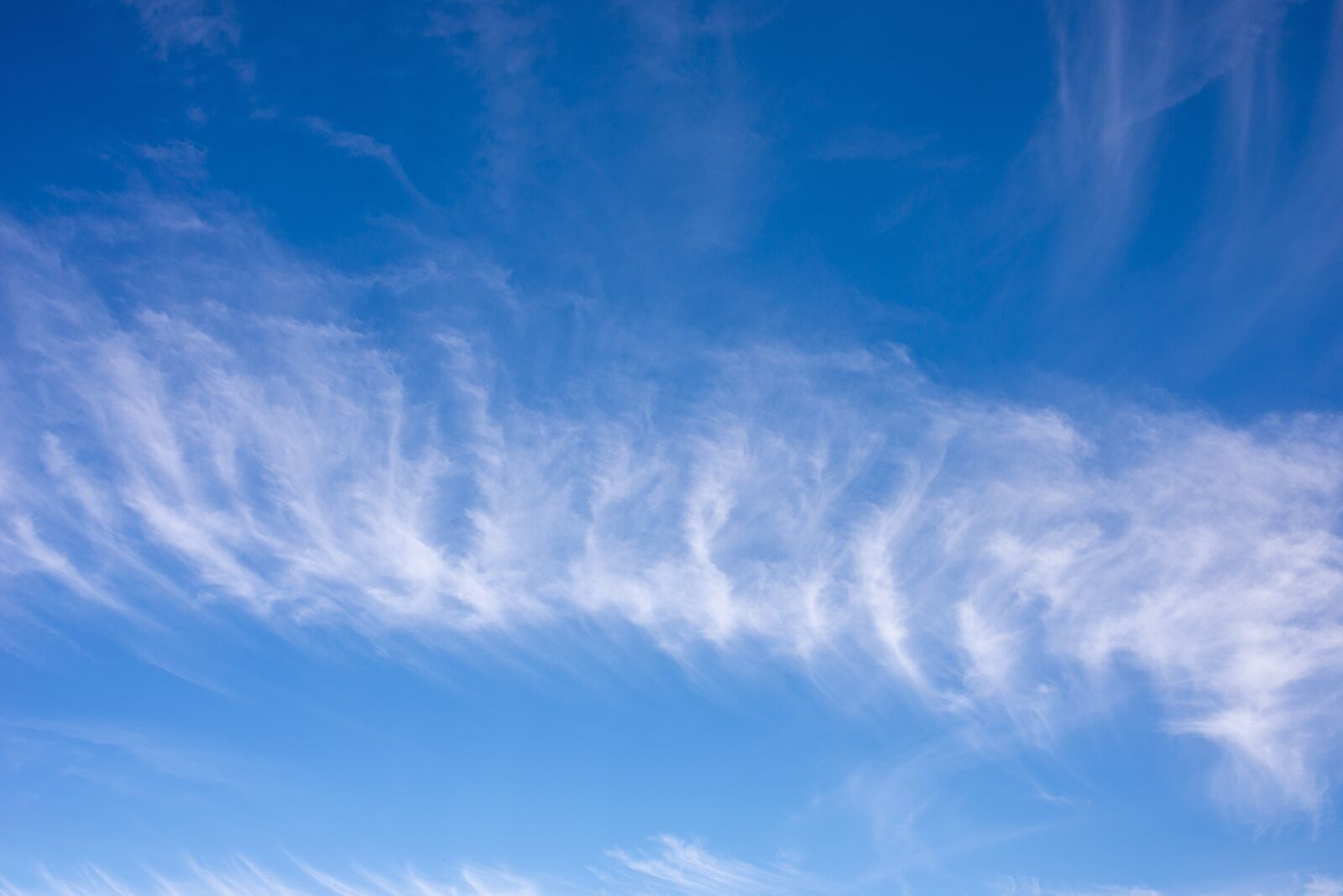 Nikon D610 sample photo. Texture, sky, clouds photography