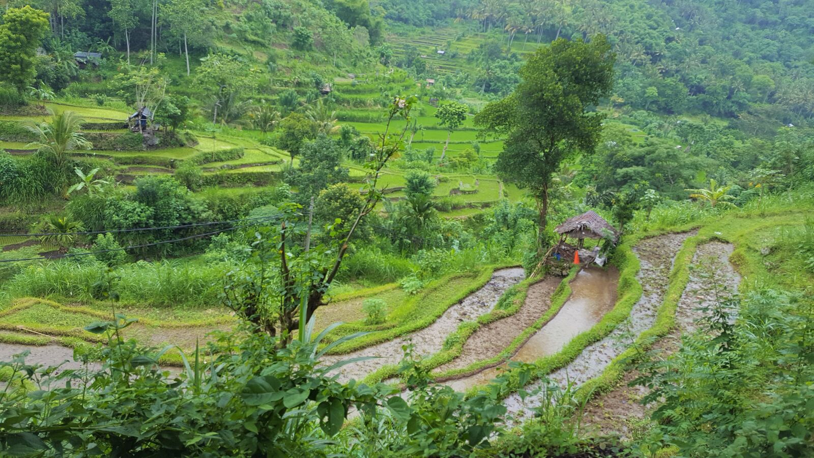 Samsung Galaxy S6 sample photo. Bali, paddy, rice terraces photography