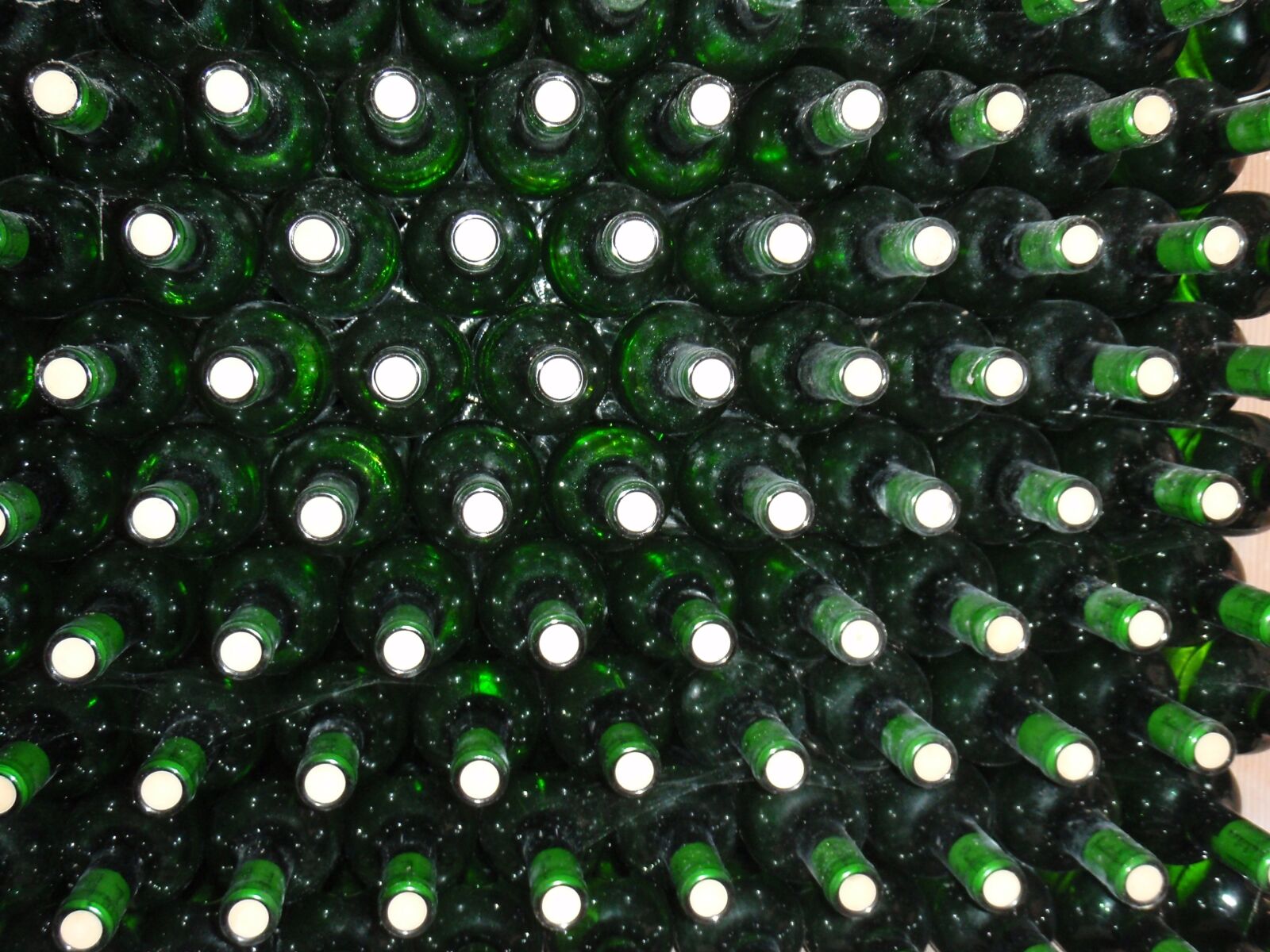 Olympus u850SW,S850SW sample photo. Wine, bottles, wine cellar photography