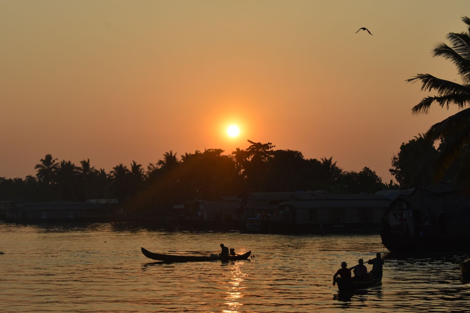 Nikon D3400 sample photo. Alleppey, alappuzha, kerala photography