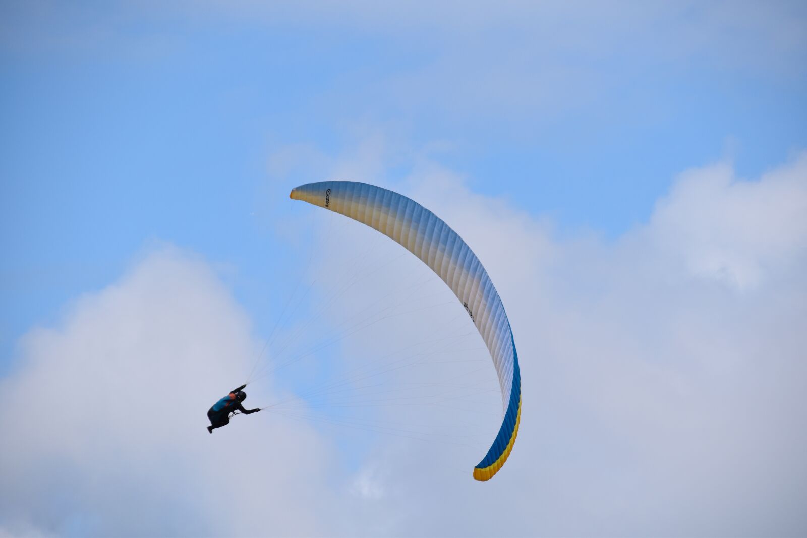 Nikon D5600 sample photo. Paragliding, paraglider, aircraft photography