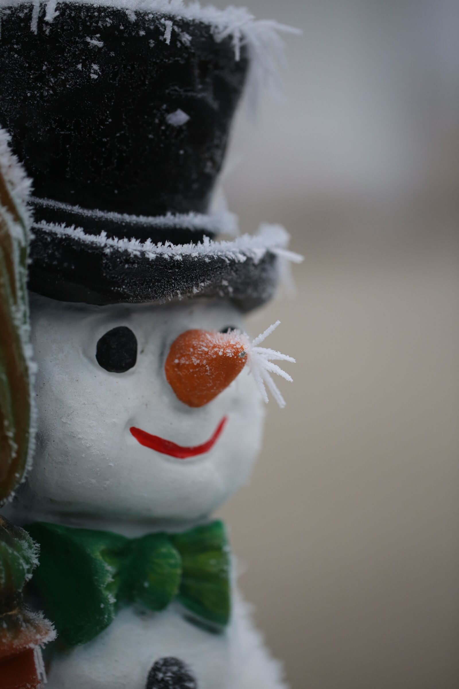 Canon EF 100mm F2.8L Macro IS USM sample photo. Icy, hoarfrost, winter photography