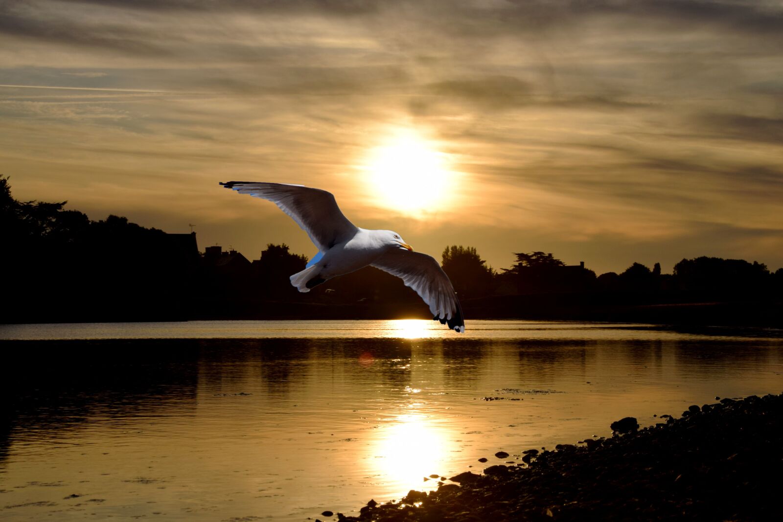 Nikon D5300 sample photo. Sea, evening, sky photography