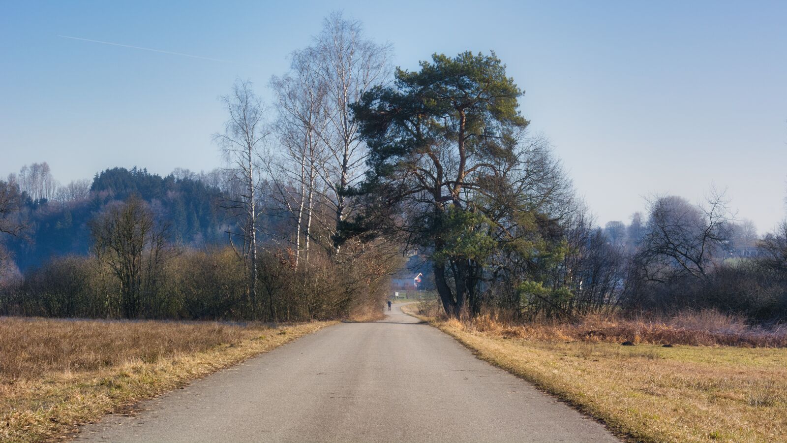 Nikon D7100 sample photo. Autumn, away, trees photography