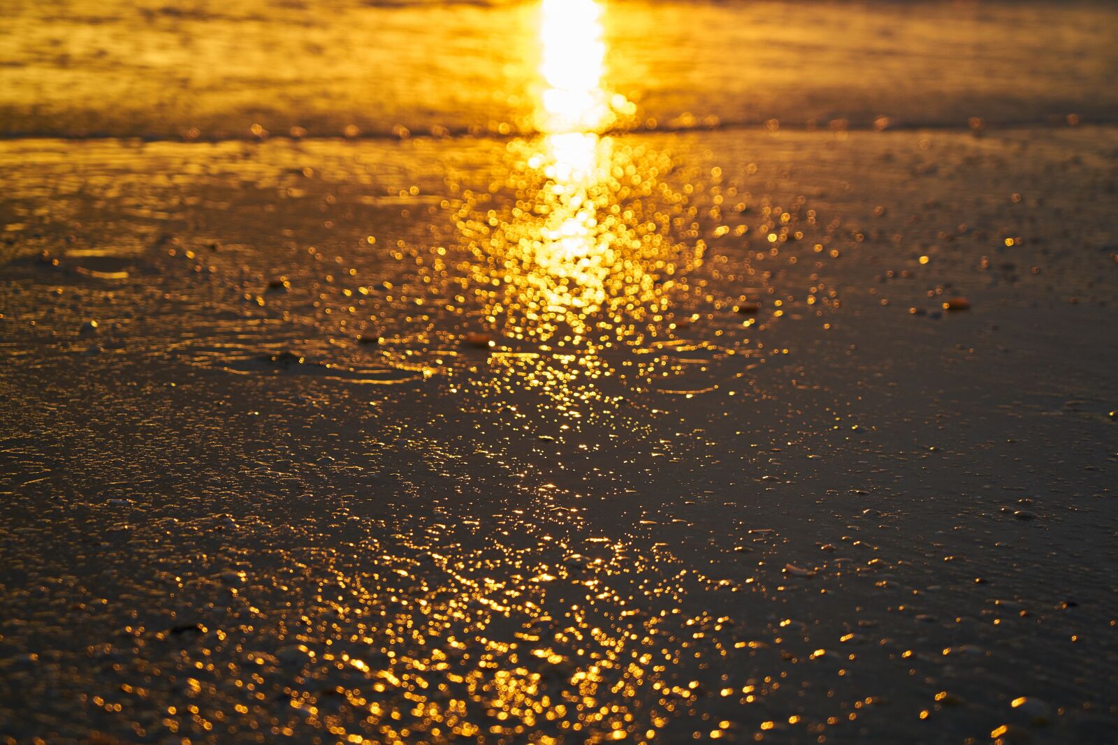 Sony a7R II sample photo. Solar, beach, light photography