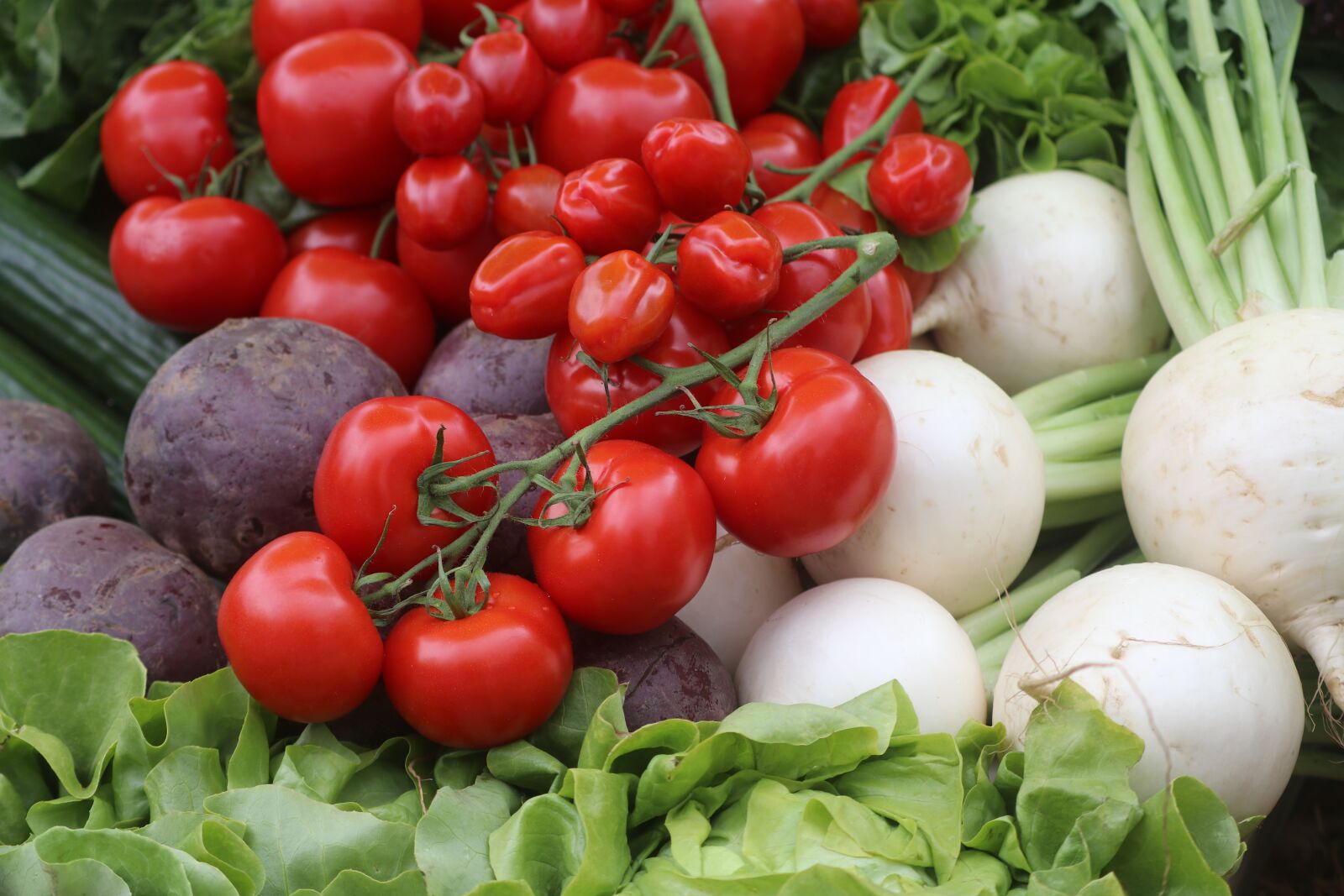 Canon EOS 80D sample photo. Vegetables, tomatoes, food photography