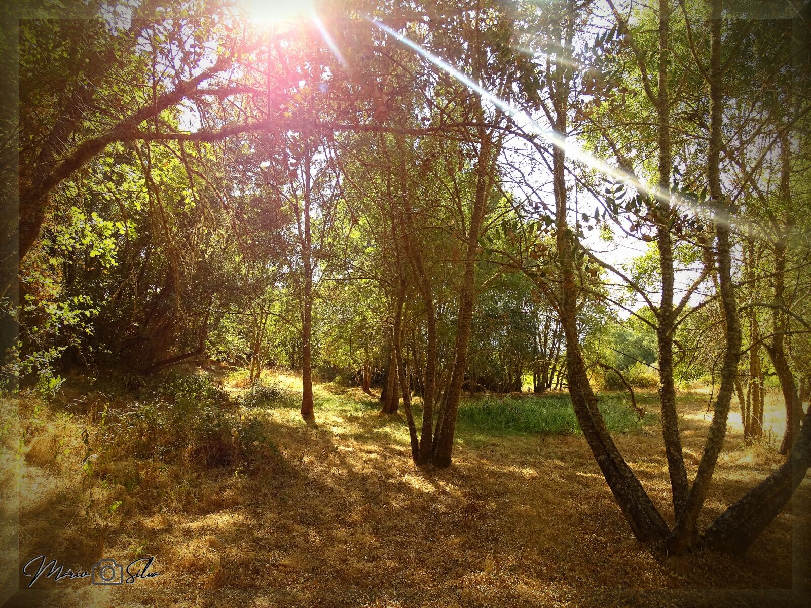 Sony Cyber-shot DSC-HX400V sample photo. Portugal, nature, landscape photography