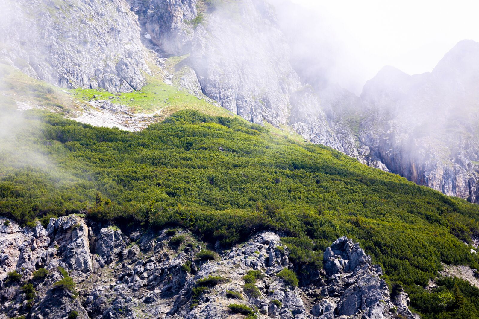 Canon EF 100-400mm F4.5-5.6L IS USM sample photo. Alm, mountains, meadow photography