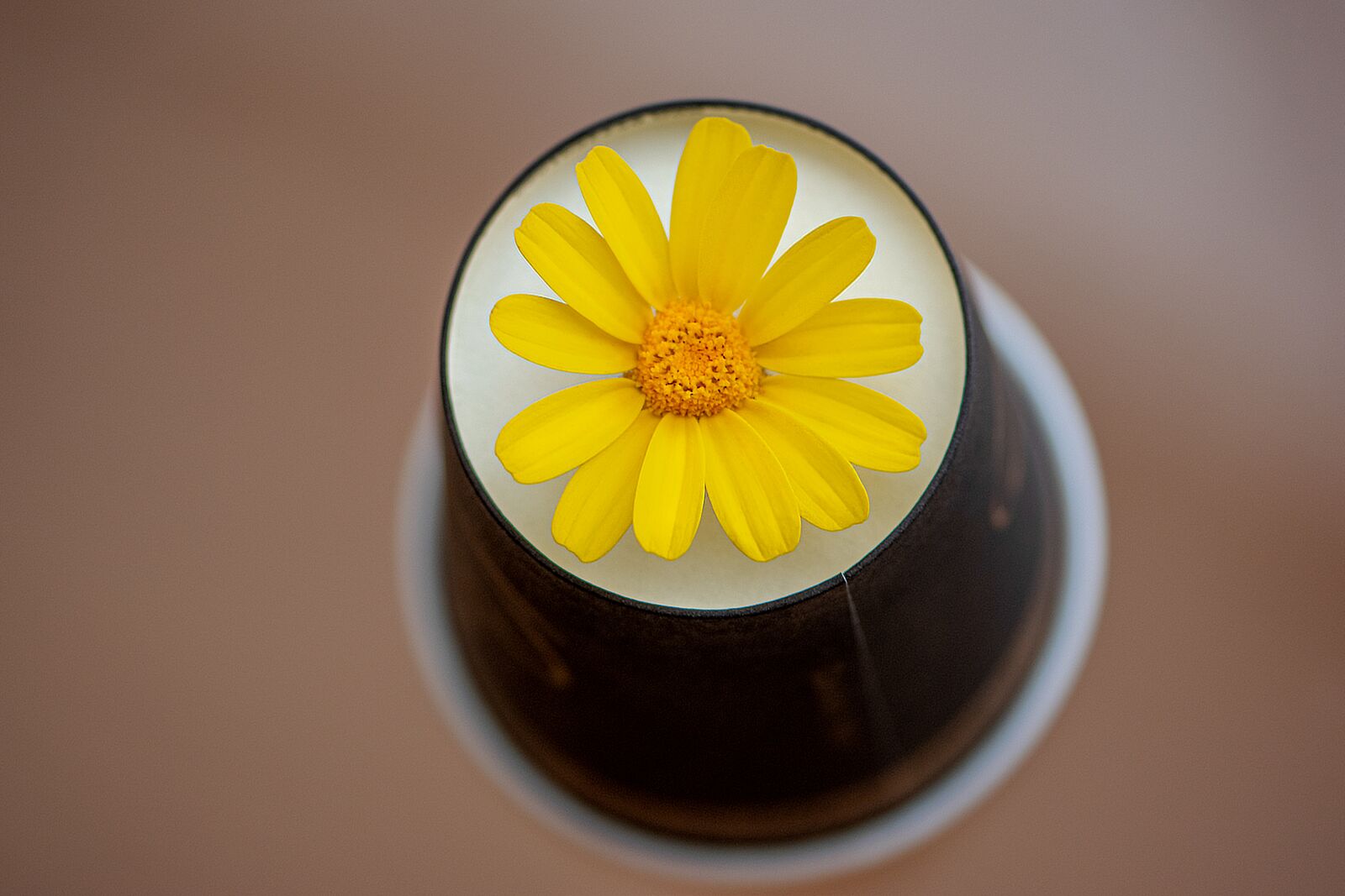 Nikon D5600 sample photo. Cup of coffee, passover photography