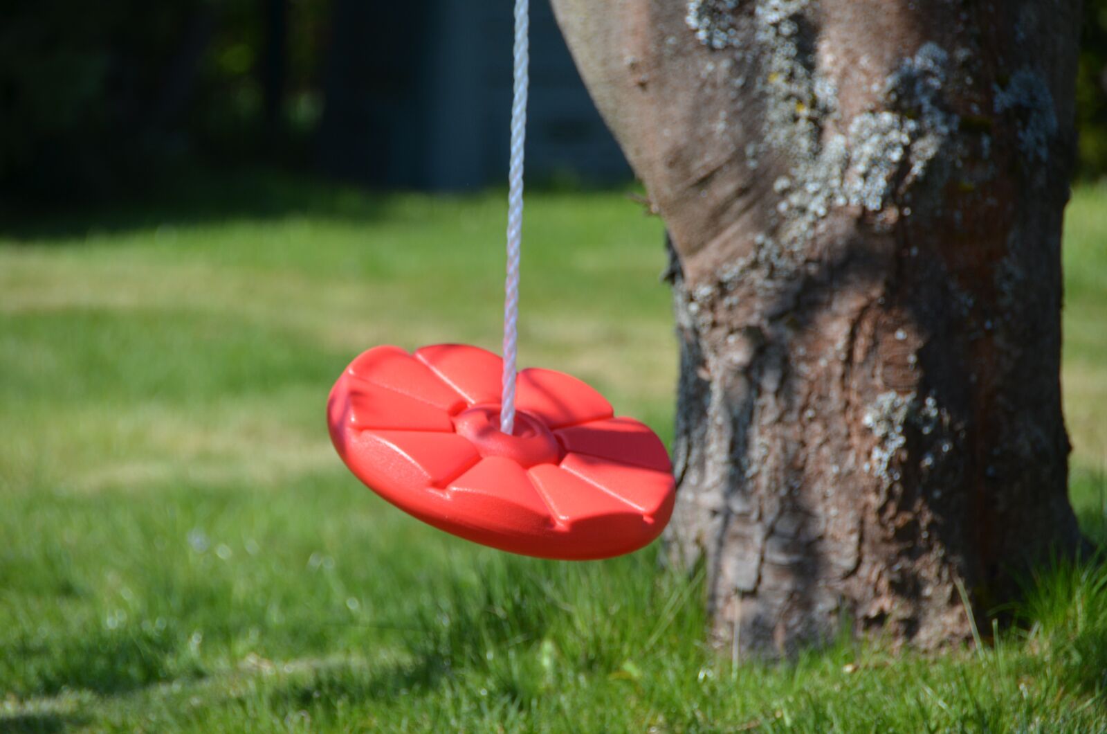 Nikon D7000 sample photo. Garden, swing, tree photography