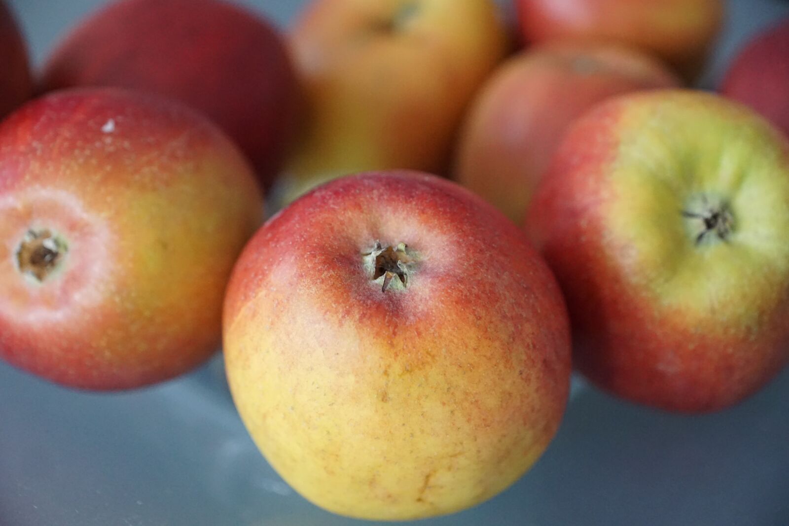 Sony ILCA-77M2 + Sony DT 16-50mm F2.8 SSM sample photo. Apple, fruit, healthy photography