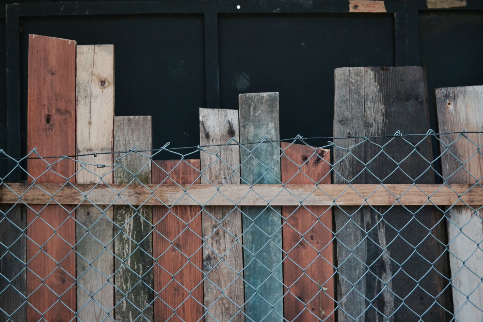 Nikon D3100 sample photo