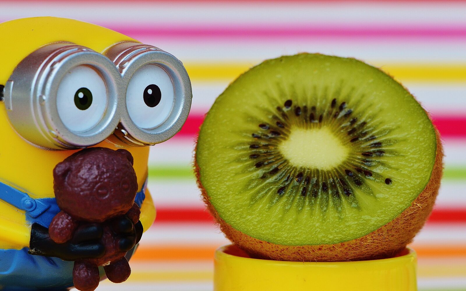 Nikon D3200 sample photo. Minion, funny, kiwi photography