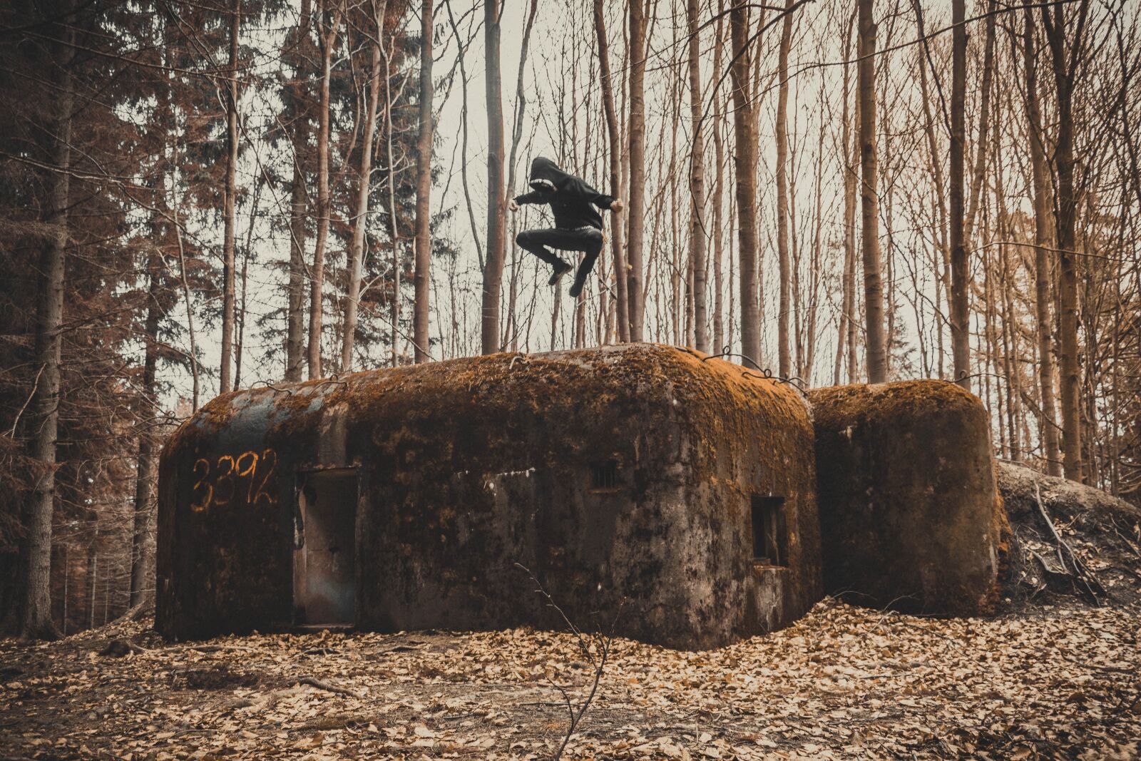 Nikon D3300 sample photo. War, bunker, the fortifications photography