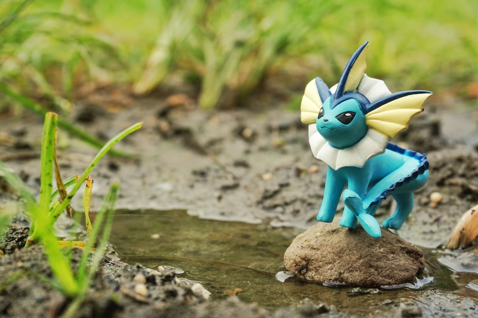 Sony a6000 sample photo. Toys, pokemon, nature photography