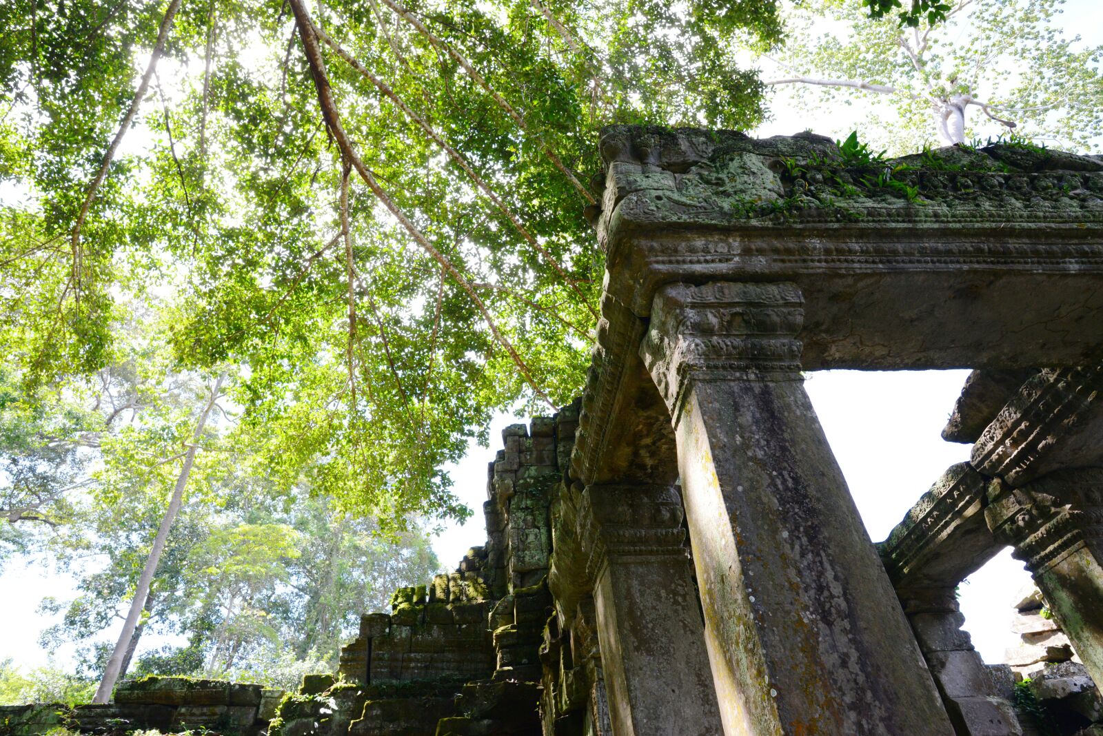 Nikon D800 sample photo. Siem reap, temple, the photography