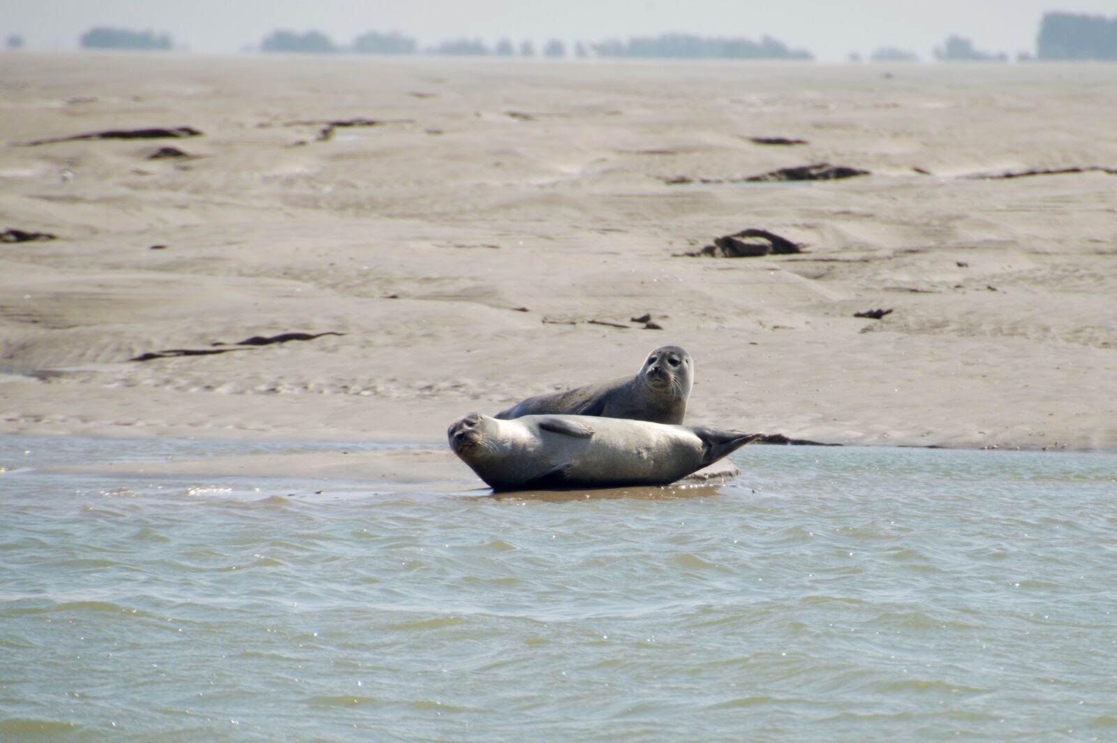 Nikon D3200 sample photo. Sea, beach, berck photography