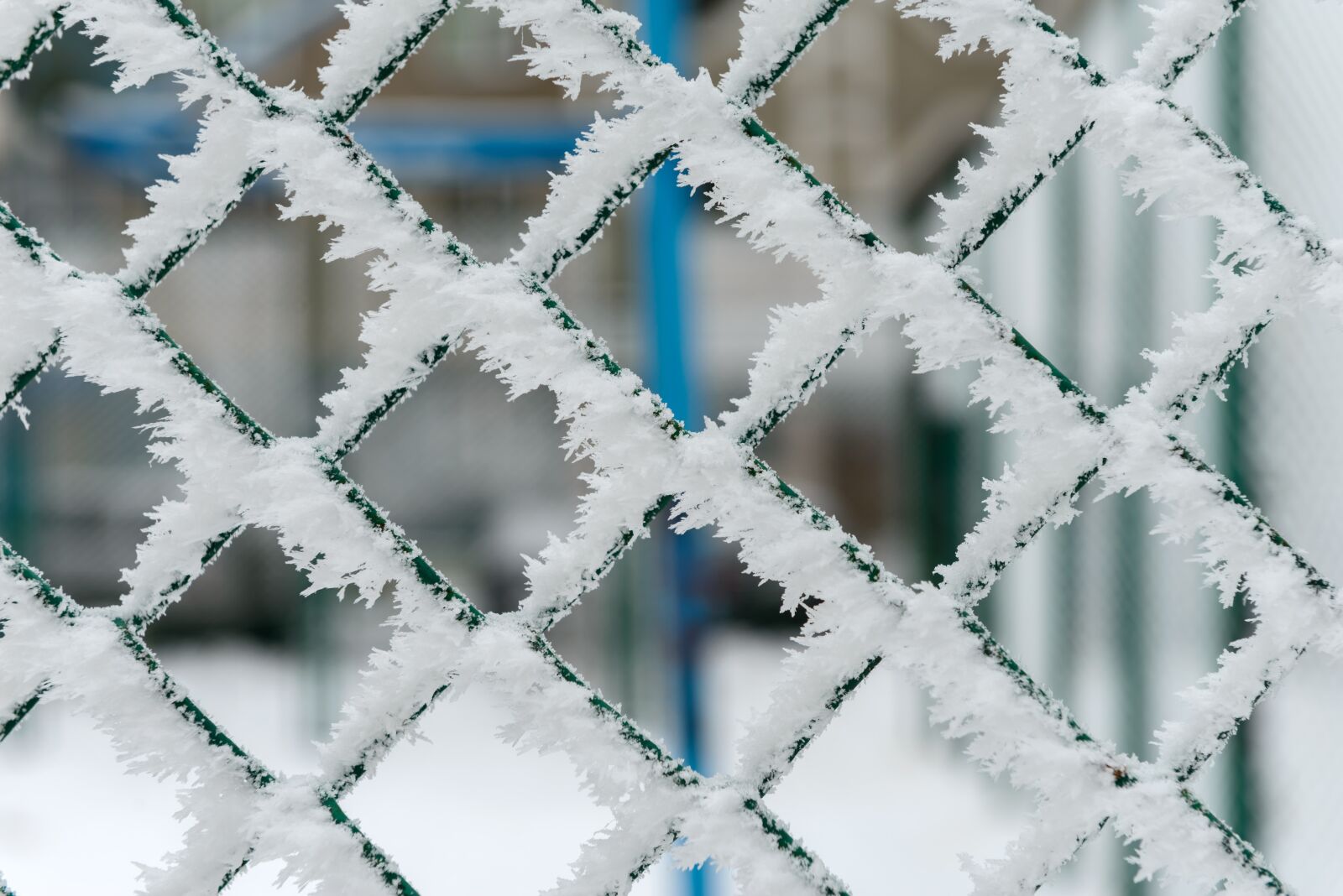 Nikon D800E sample photo. Winter, snow, cold photography