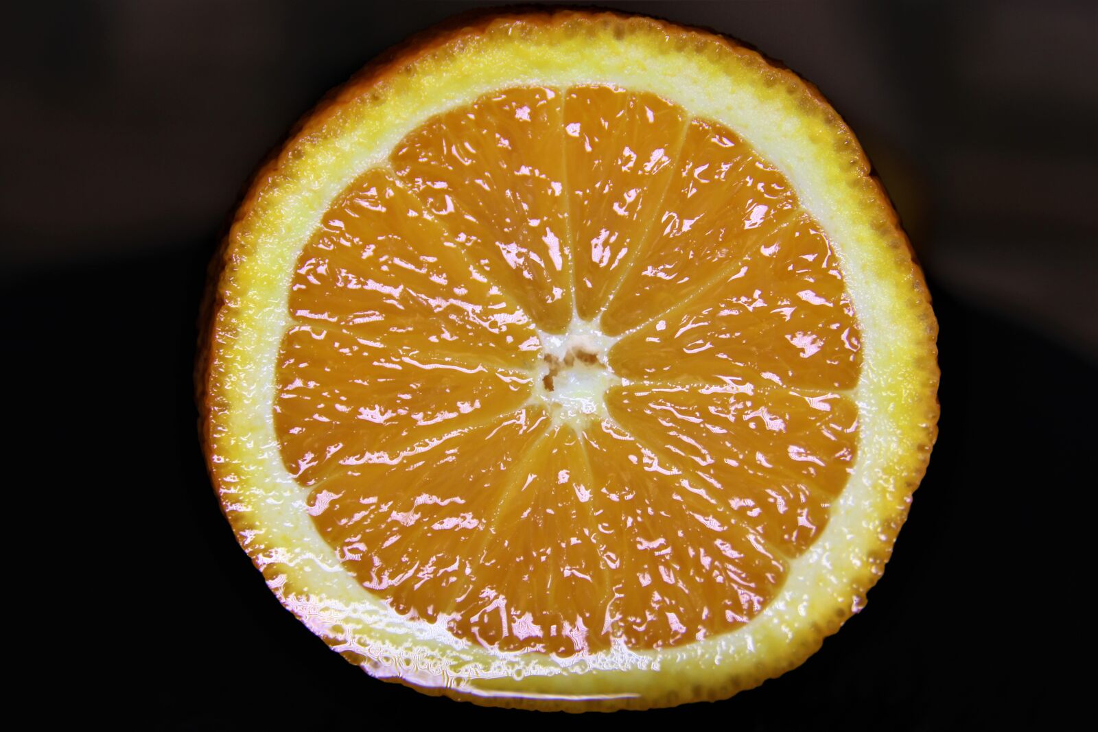 Canon EOS 2000D (EOS Rebel T7 / EOS Kiss X90 / EOS 1500D) sample photo. Orange, close, nature photography