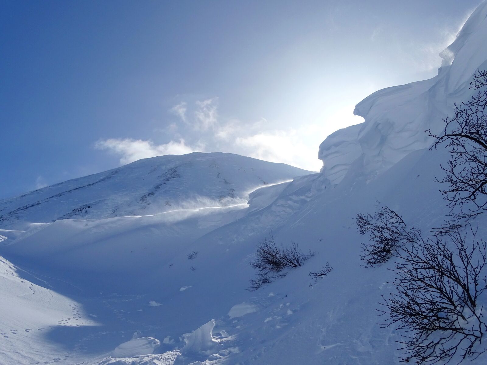 Sony DSC-HX400 sample photo. Winter, snow, frost photography