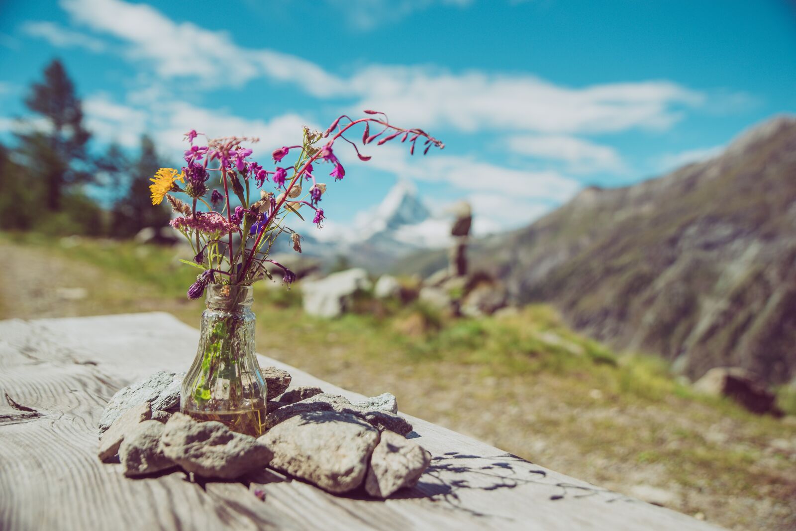 Nikon D750 sample photo. Hiking, trail, mountain hiking photography