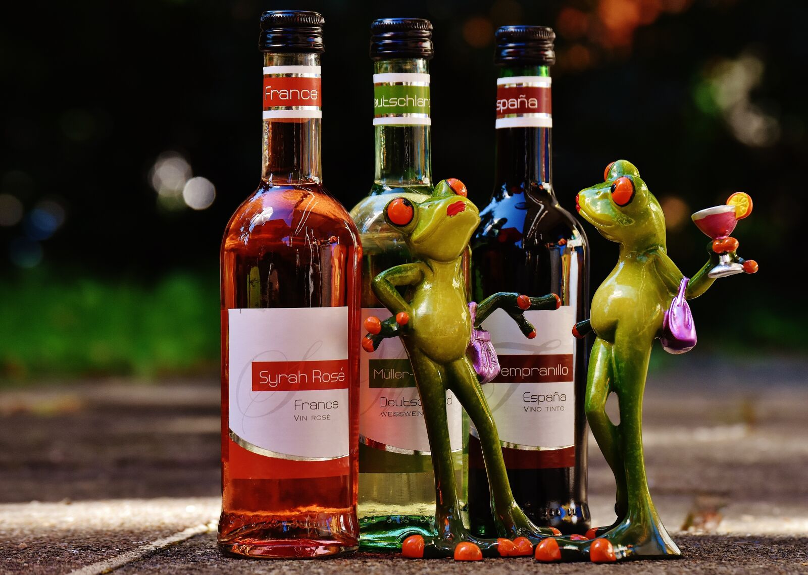 Nikon D7200 sample photo. Frogs, wine, drink photography