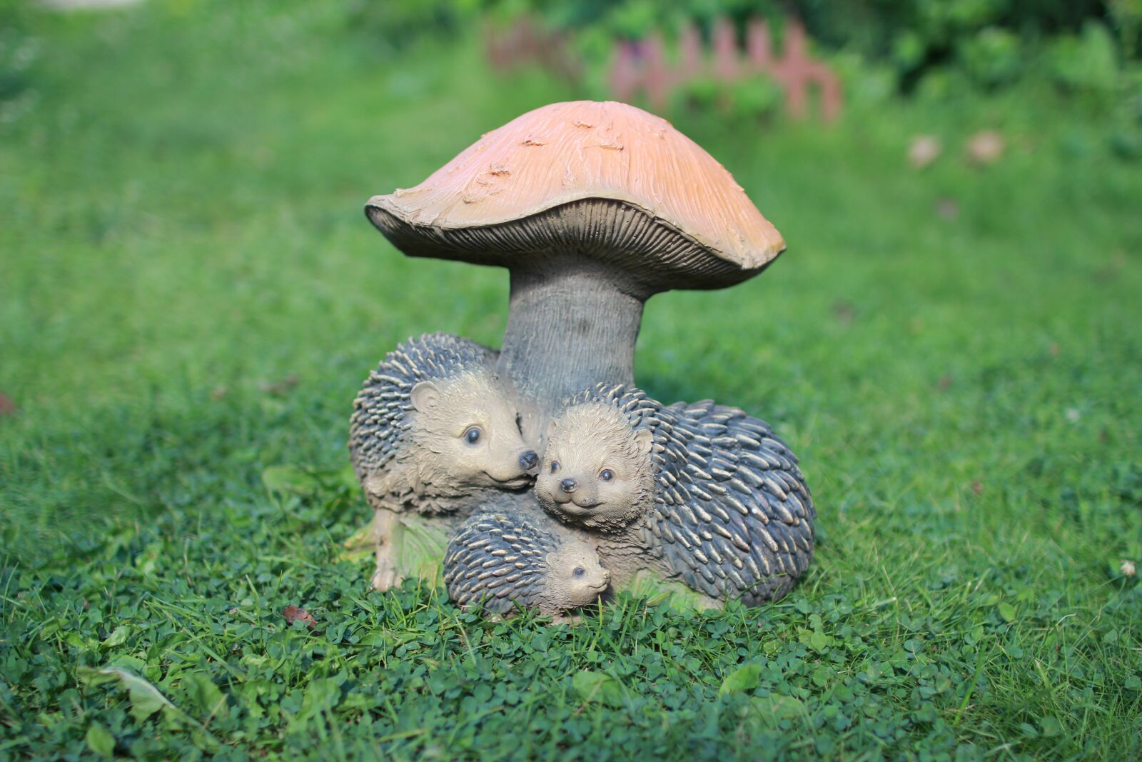 Canon EOS 60D sample photo. Garden figures, garden, vegetable photography