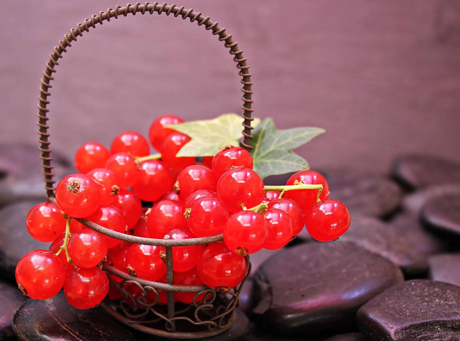Canon EOS 550D (EOS Rebel T2i / EOS Kiss X4) sample photo. Still life, currant, fruit photography