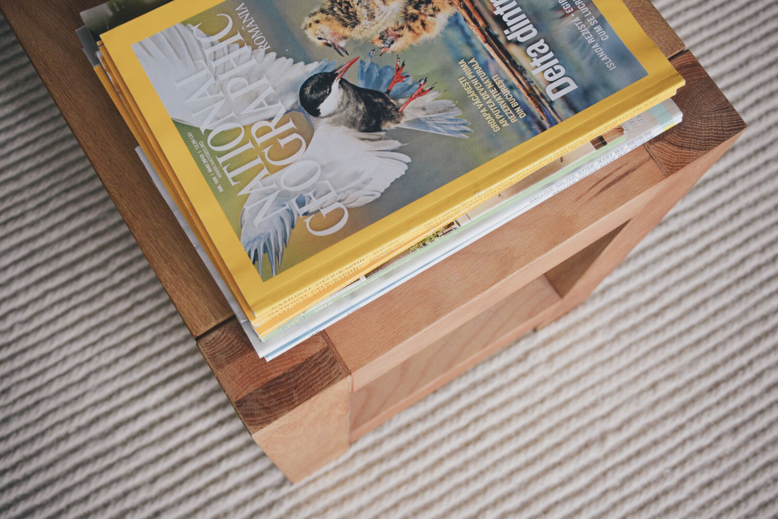 Nikon D7100 sample photo. Adventure, animals, carpet, documentation photography