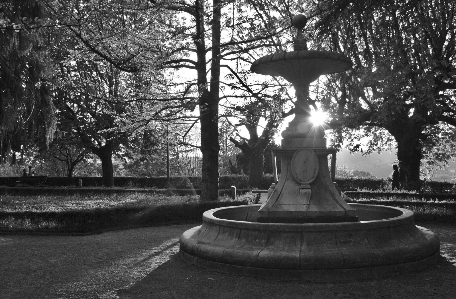 Canon EOS 400D (EOS Digital Rebel XTi / EOS Kiss Digital X) sample photo. Source, santiago of compostela photography