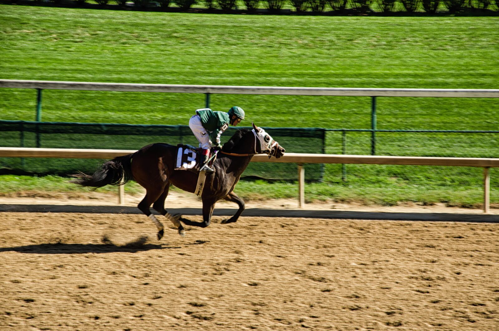 Nikon D5100 sample photo. Kentucky, louisville, horse racing photography