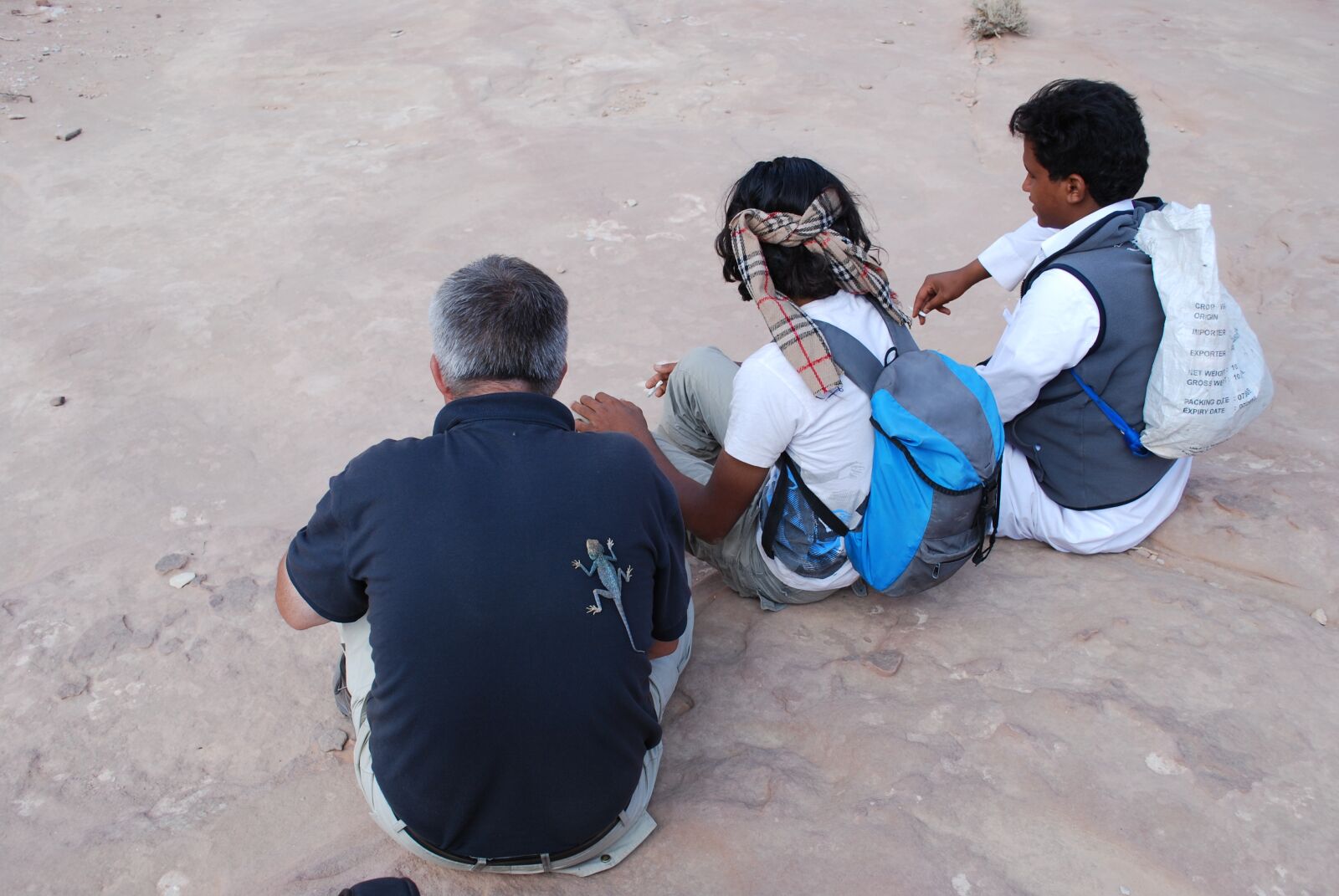 Nikon D60 sample photo. Jordan, group, lizard photography