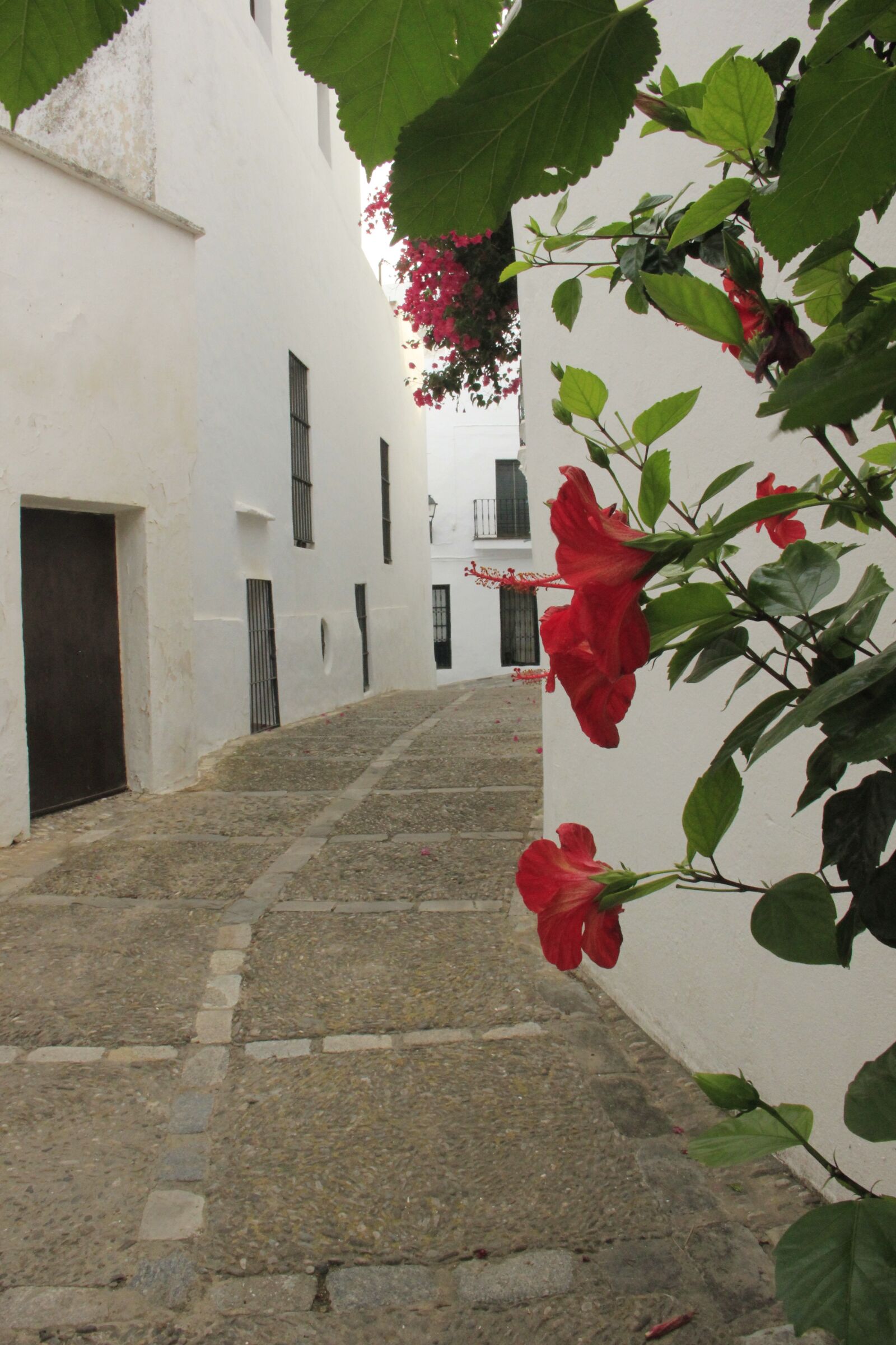 Canon EOS 550D (EOS Rebel T2i / EOS Kiss X4) sample photo. Streets, white villages, walk photography