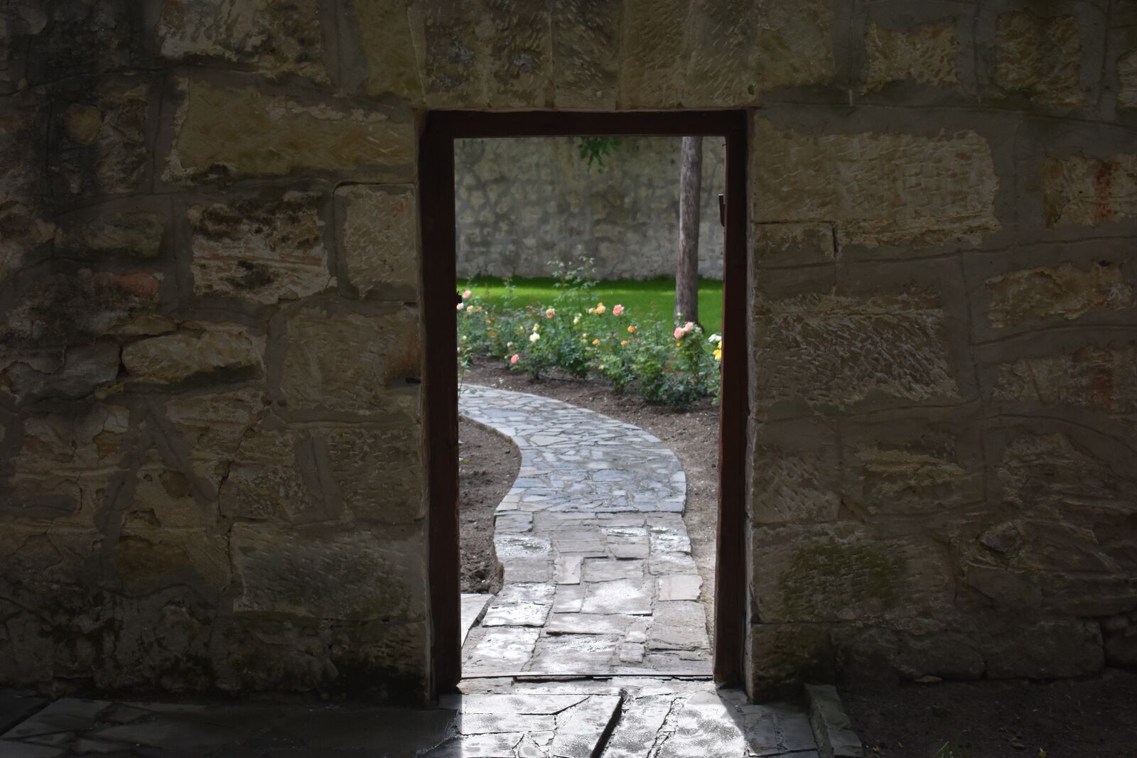 Nikon D3400 sample photo. Wonderful, garden, door photography
