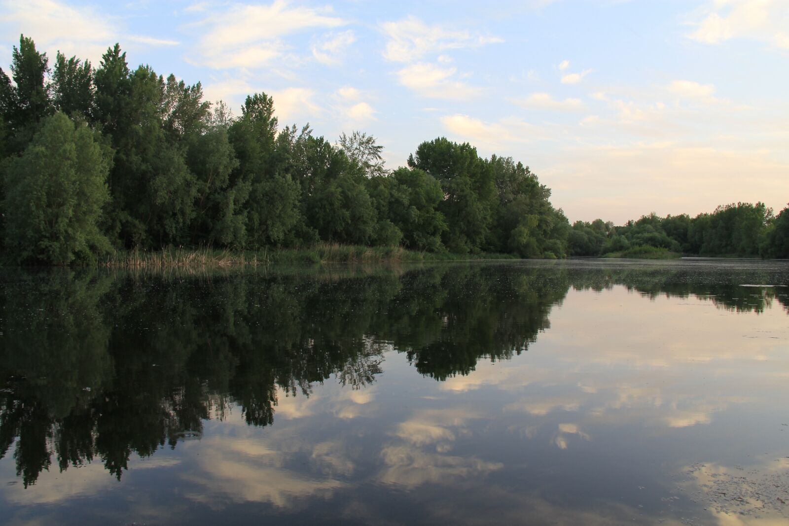 Canon EF-S 18-200mm F3.5-5.6 IS sample photo. Reflection, trees, forest photography