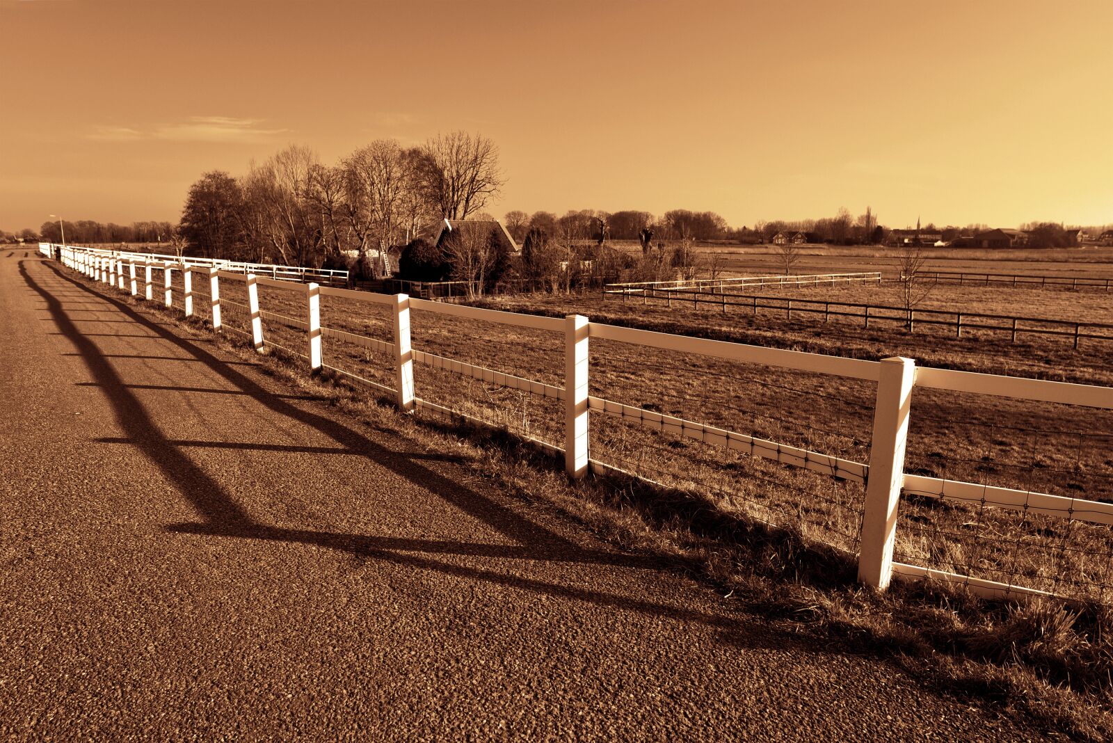 Nikon D750 sample photo. Fence, road, field photography