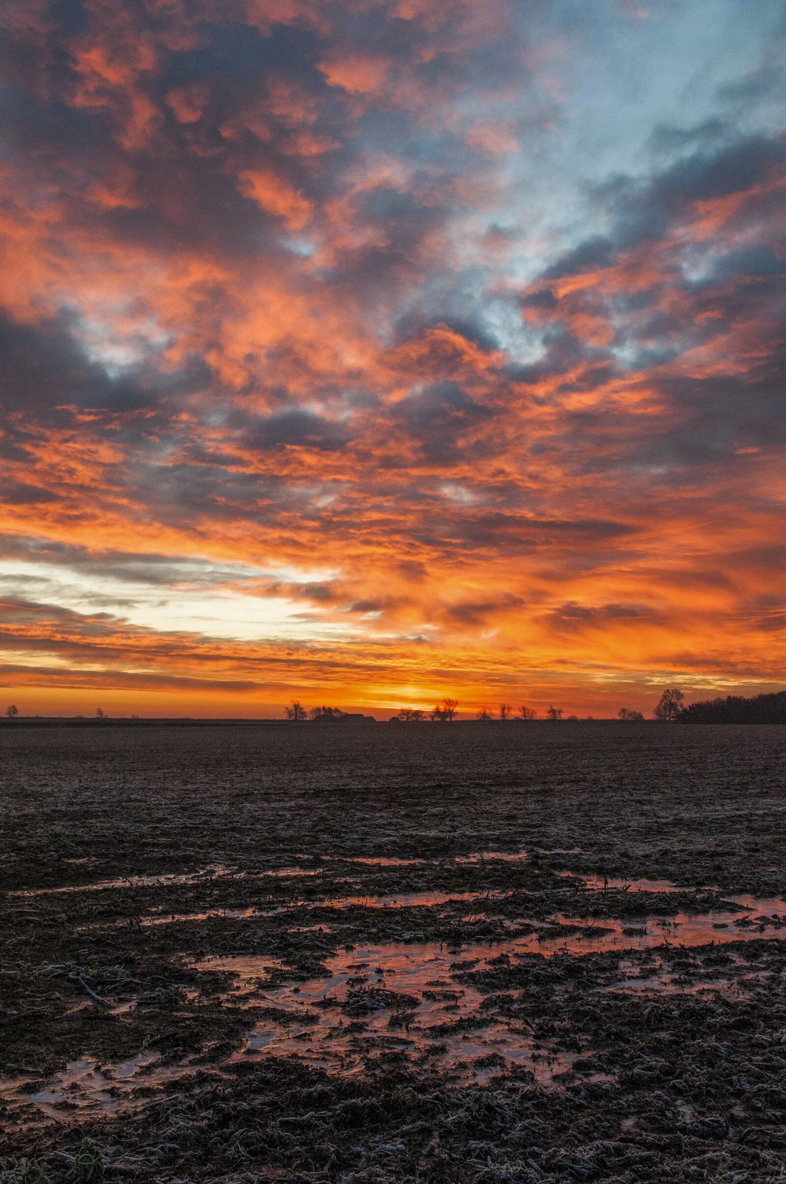 Nikon D300 sample photo. Sunrise, frosted ground, morning photography