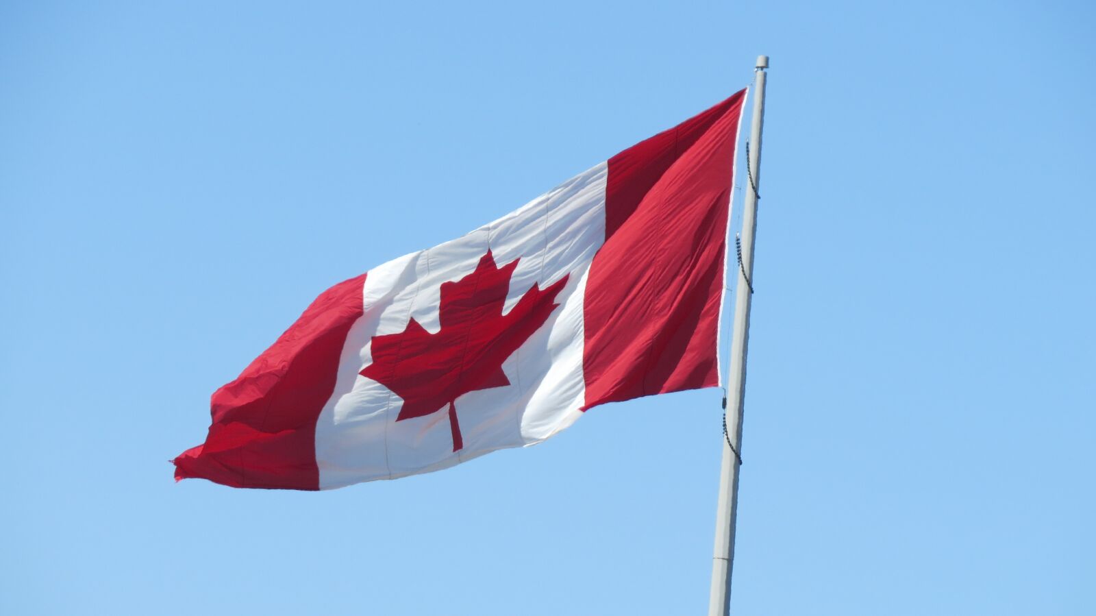 Canon PowerShot SX50 HS sample photo. Flag, canada, canada flag photography