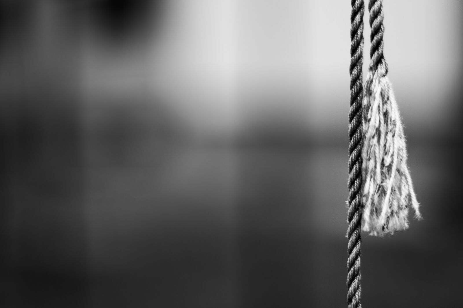 Canon EOS 700D (EOS Rebel T5i / EOS Kiss X7i) + Canon EF 50mm F1.8 STM sample photo. Rope, twine, black photography