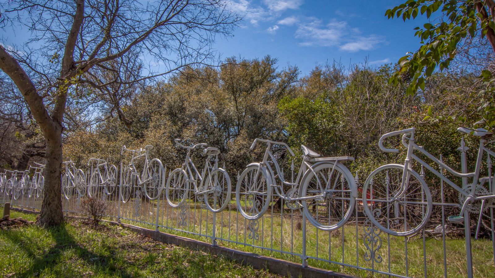 Canon EOS 50D sample photo. Fence, bicycle, park photography