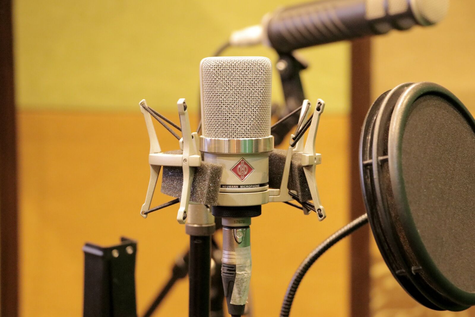 Canon EF-S 18-135mm F3.5-5.6 IS USM sample photo. Mic, microphone, dubbing photography