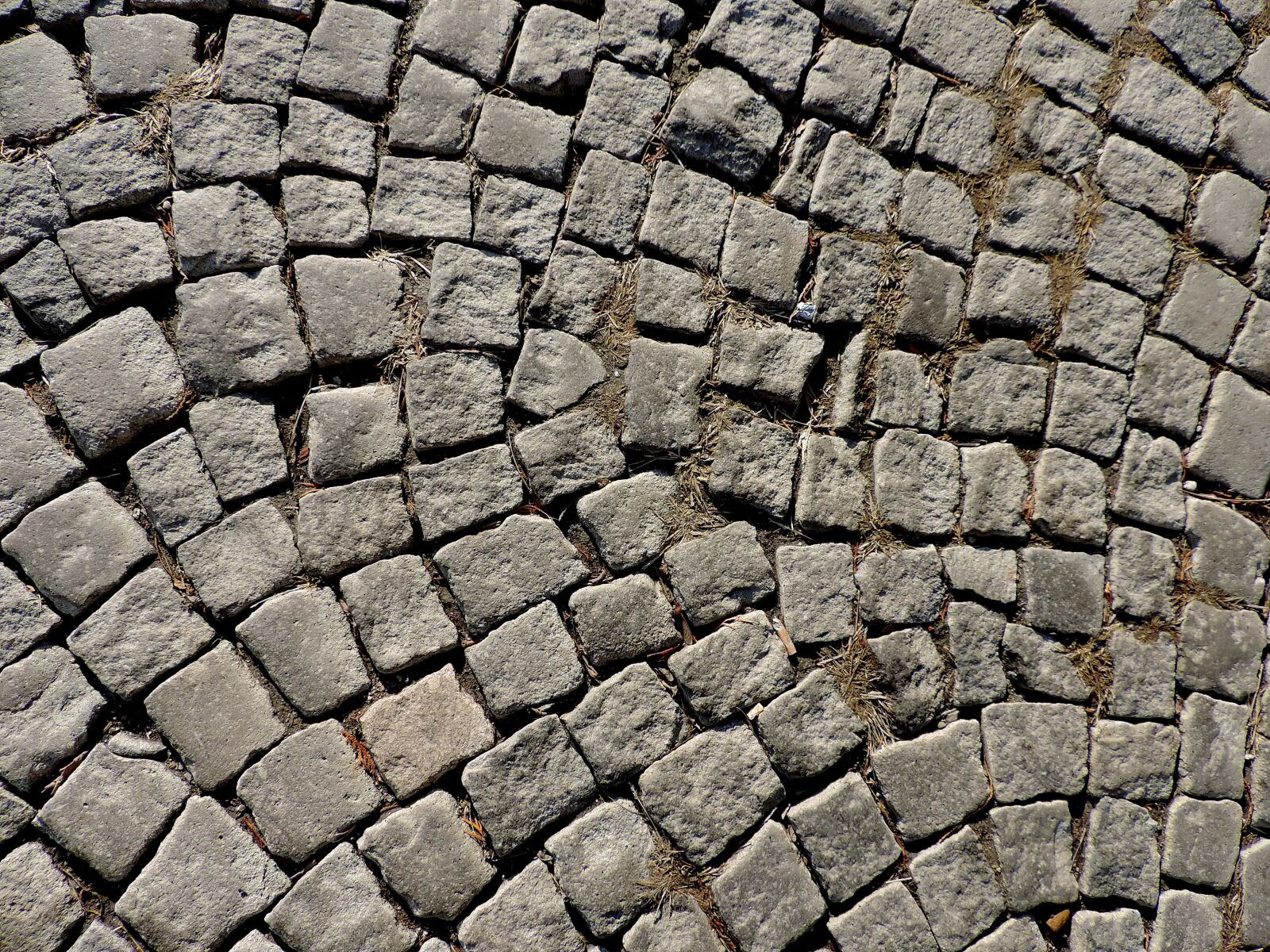 Nikon Coolpix P520 sample photo. Brick, rough, texture, surface photography