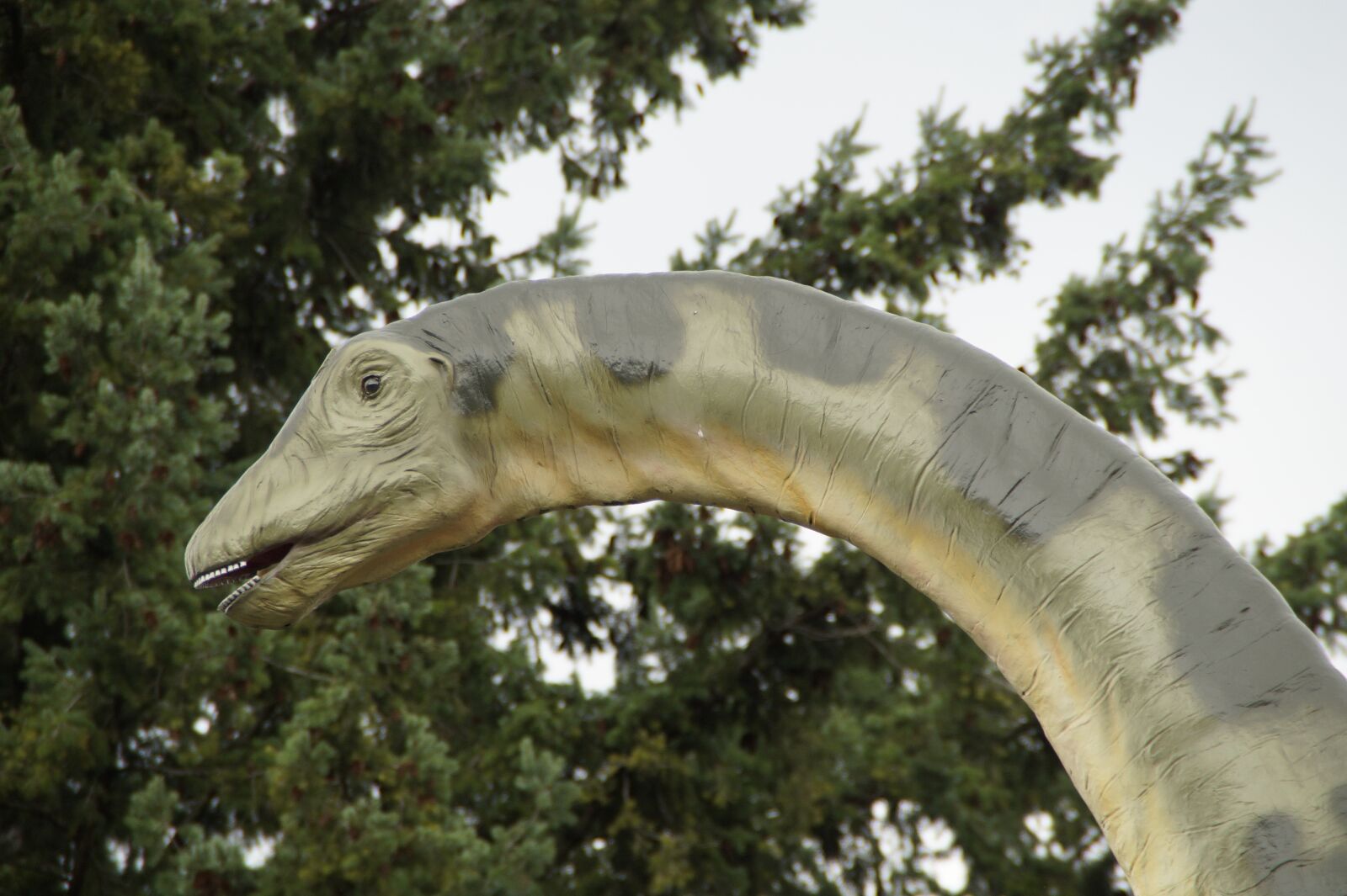 Sony SLT-A58 sample photo. Dino, dinosaur, long neck photography