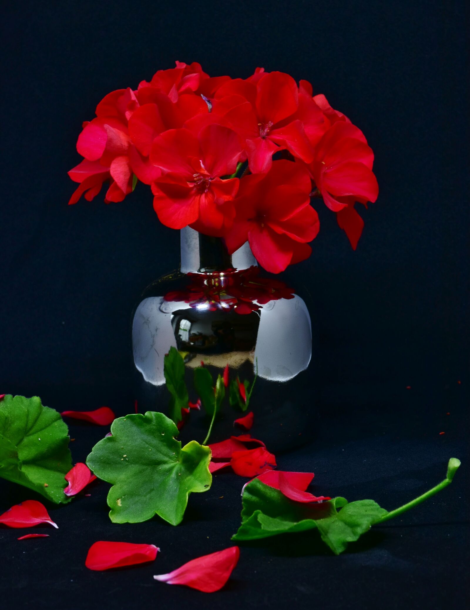 Nikon D7200 sample photo. Geranium, flowers, red photography