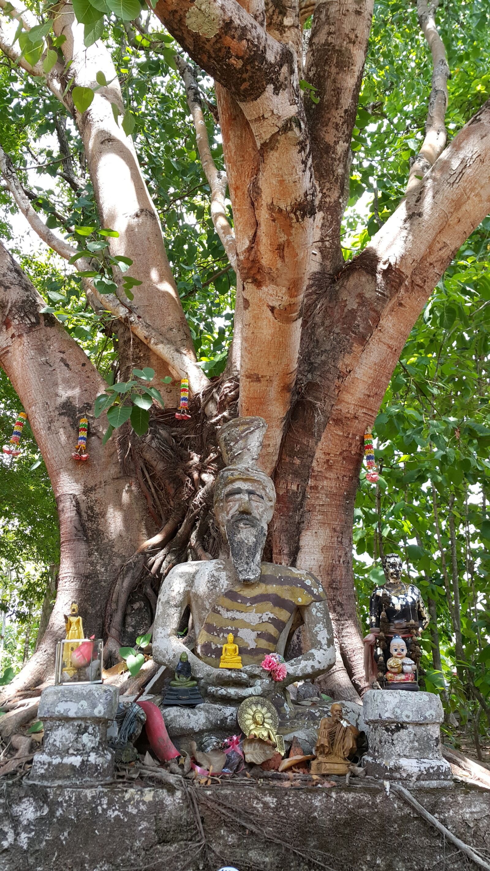 Samsung Galaxy Note4 sample photo. Tree, recluse, priest photography